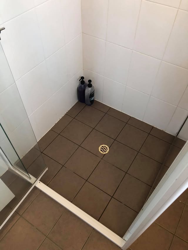 Spotless shower floor and drain with clean grout after a deep clean